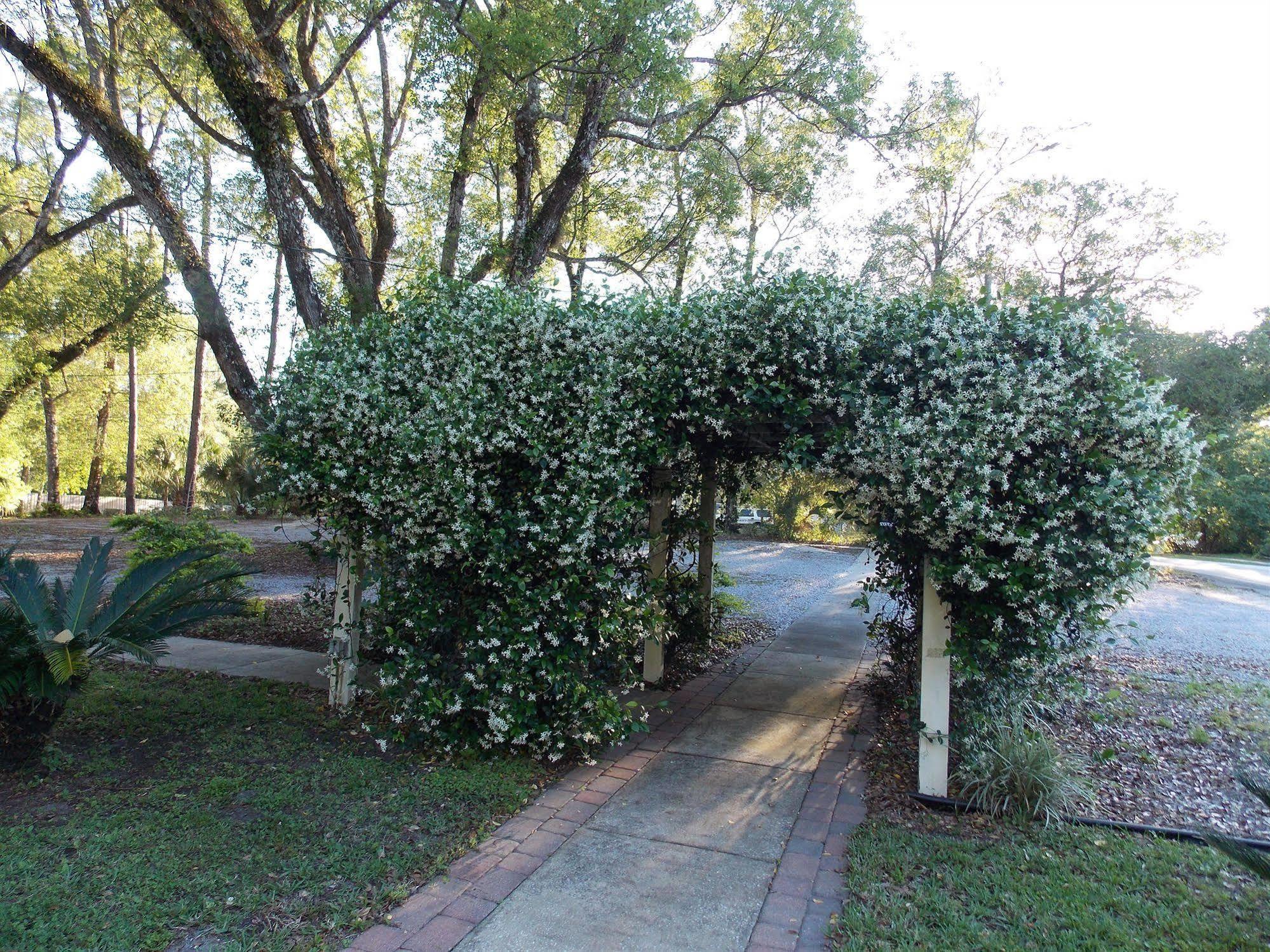 CassadagaThe Ann Stevens House住宿加早餐旅馆 外观 照片